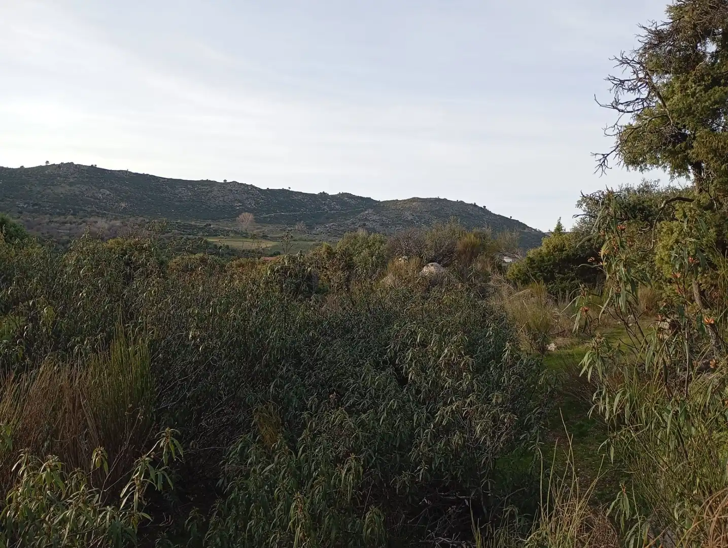 Terreno rustico in vendita a Fresnedillas de la Oliva, imagen 20