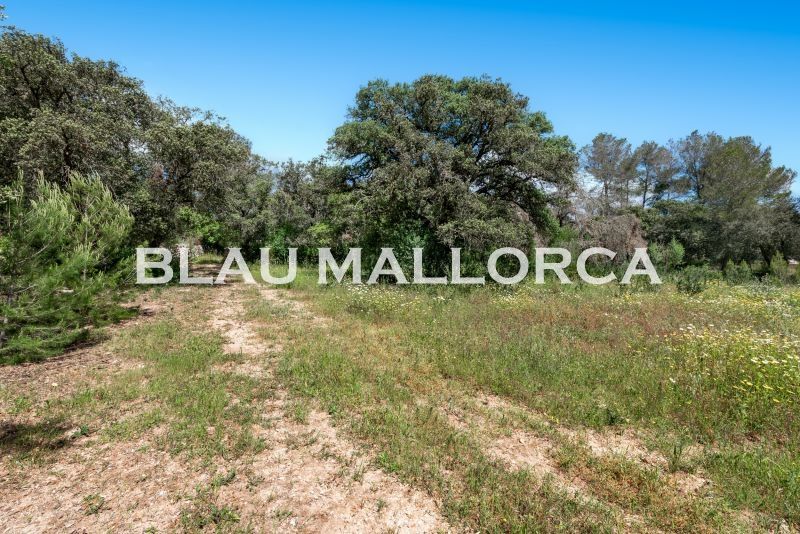 Finca rústica en venda