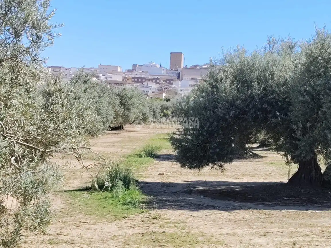 Terreni e lotti in vendita a Mengíbar, imagen 12