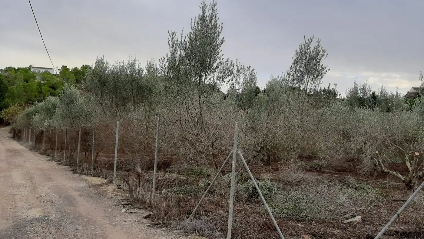 Finca rústica en venda en Murcia amb Terrassa, Traster i Moblat