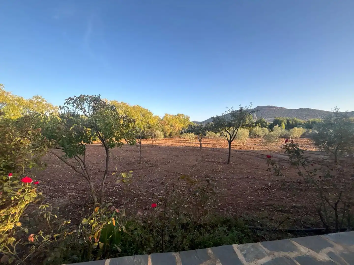 Residencial en venda a Malagón