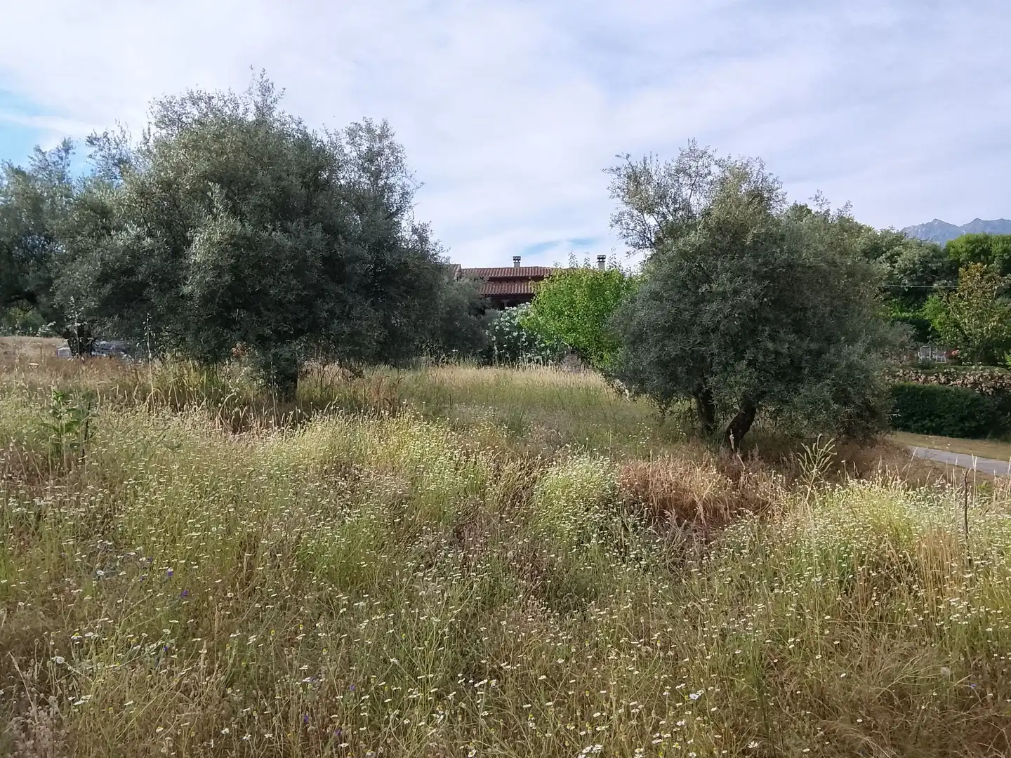 Terreni e lotti in vendita a Madrigal de la Vera, imagen 6