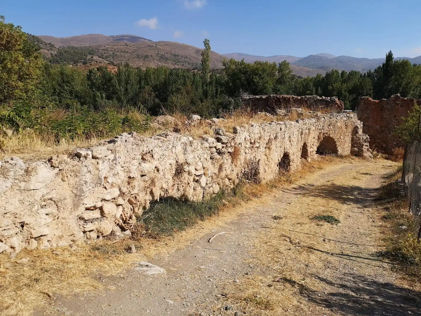 Terreny rústic en venda a PAGO ACEQUIA BAJA Polígono 11 Parcela 174 11, imagen 11