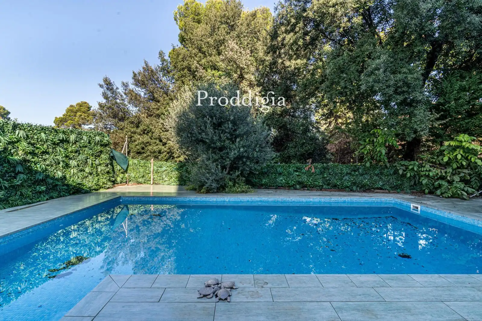 Swimming pool of Houses for sale in Sant Cugat del Vallès  with Air Conditioner, Heating and Terrace