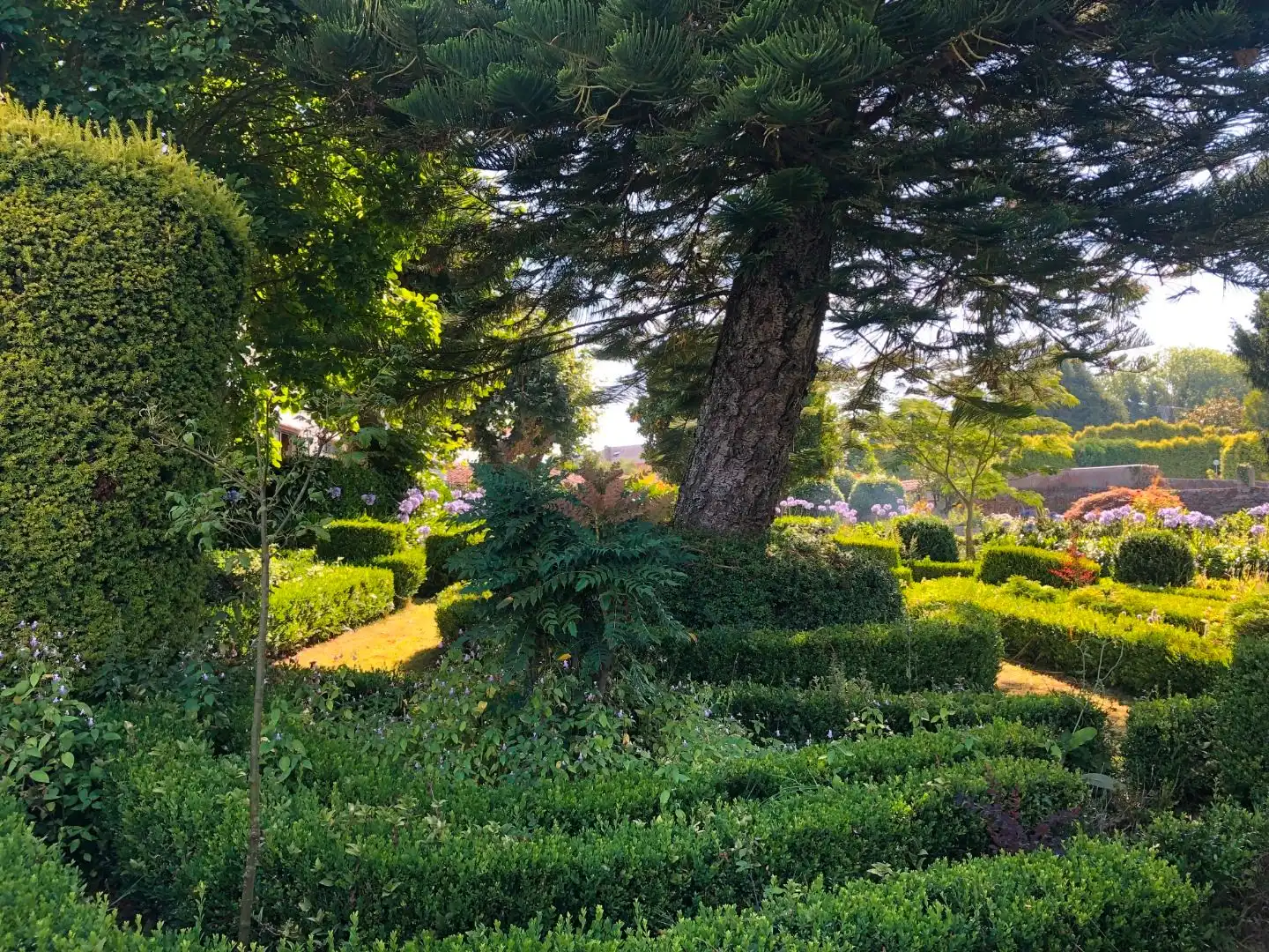 Garten von Haus oder Chalet zum Verkauf in Oleiros mit Privatgarten, Parkett und Terrasse