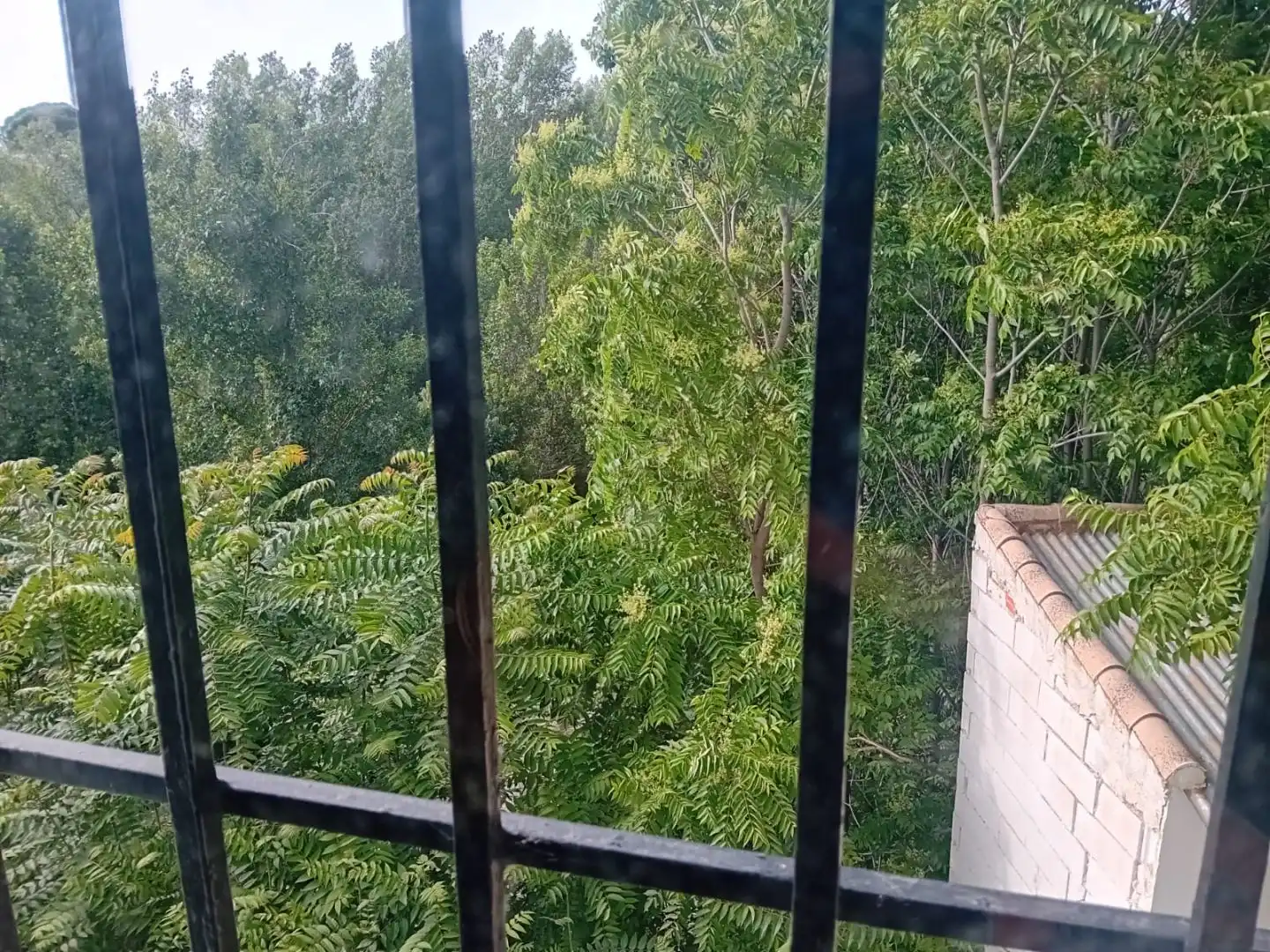 Casa rústica en venda a Calle Elvira 20, imagen 19