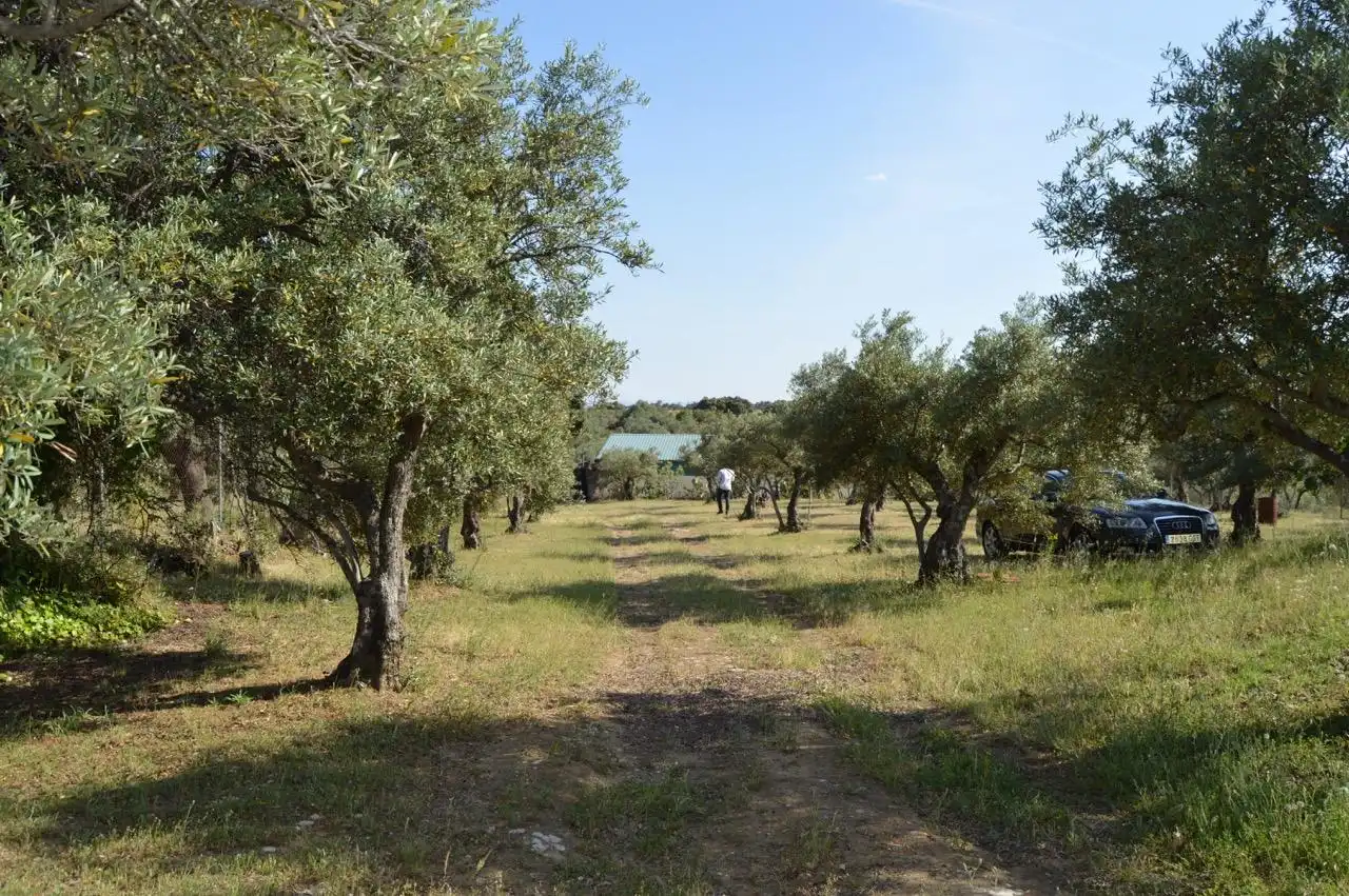 Finca rústica en venta en Mirabel con Aire acondicionado, Calefacción y Trastero