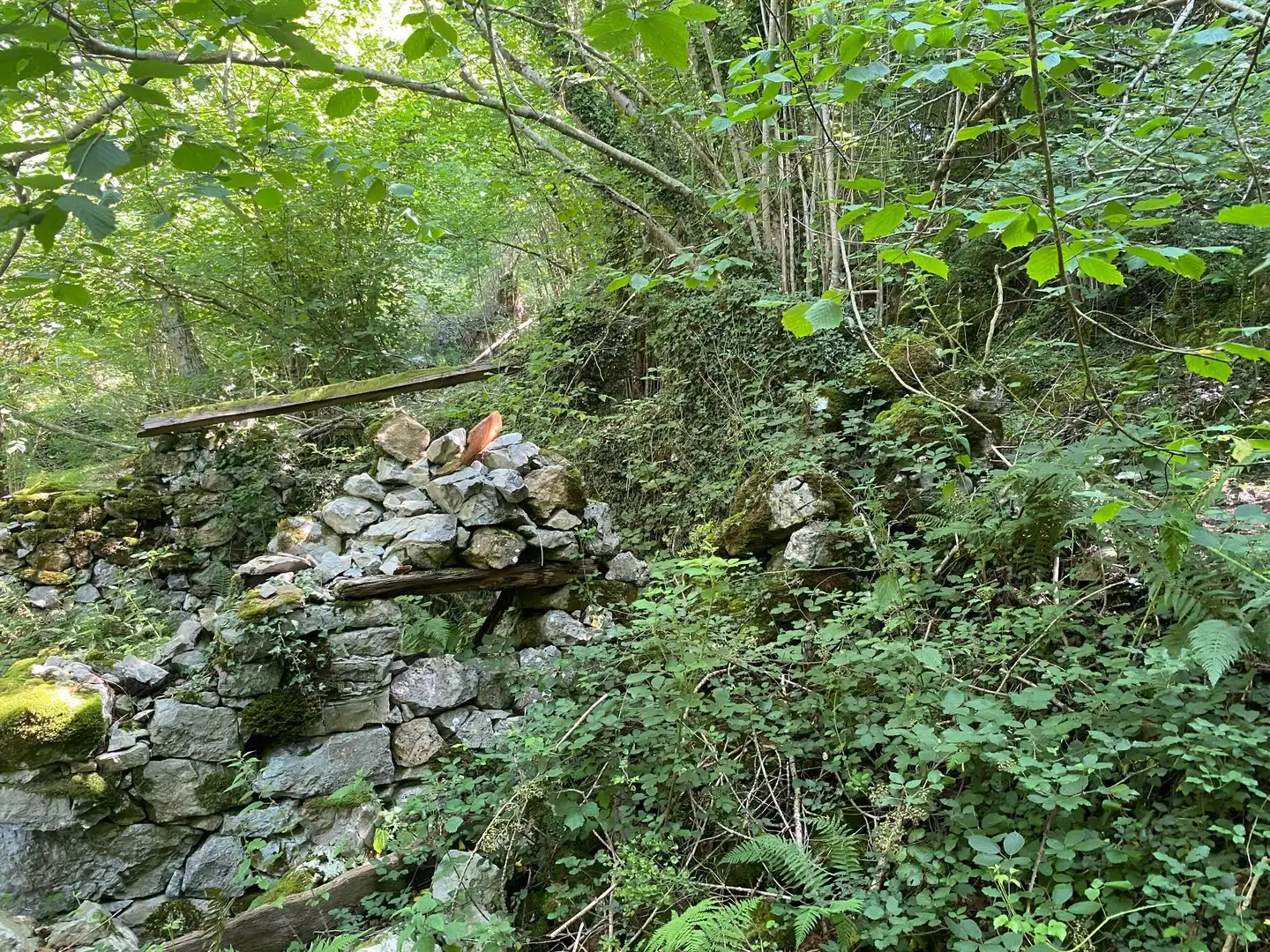 Terreno rustico in vendita a SEGÜENCO, imagen 12