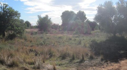 Terreno urbano en la urbanización de la Malla, la parcela consta de unos 4.722m2, parcela esquinera rectangular, gracias al desniv, imatge 5
