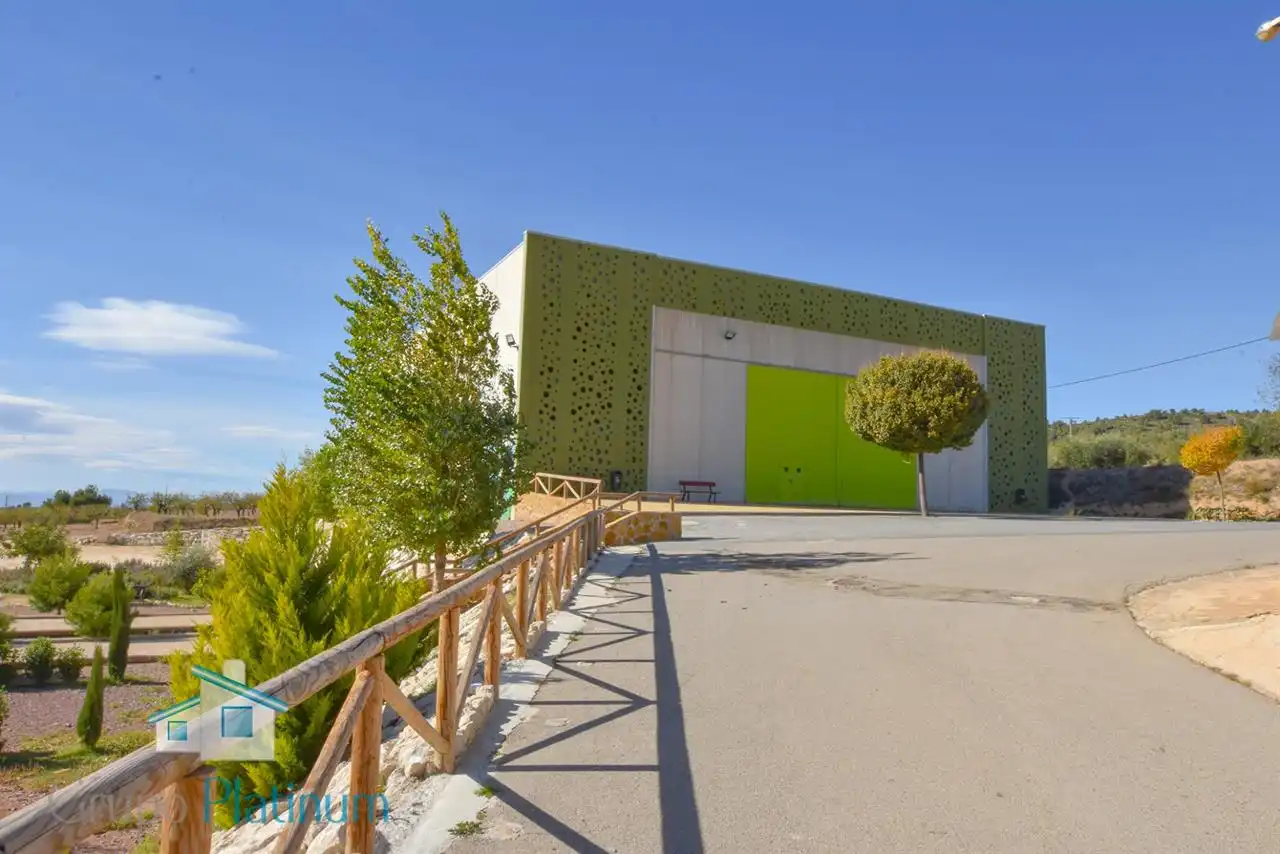 Vista exterior de Casa o xalet en venda en Lorca amb Aire condicionat, Calefacció i Jardí privat