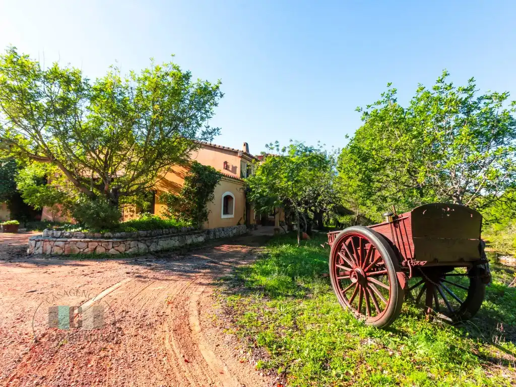 Commercial properties for sale in Calle Pedrapiquers (Dels), Borriol