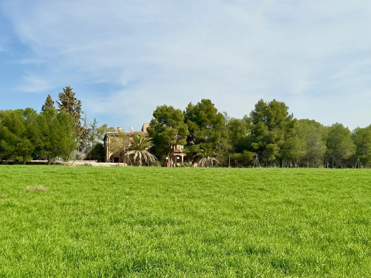 Casa rústica amb terrassa en venda a Torrenueva, imagen 2