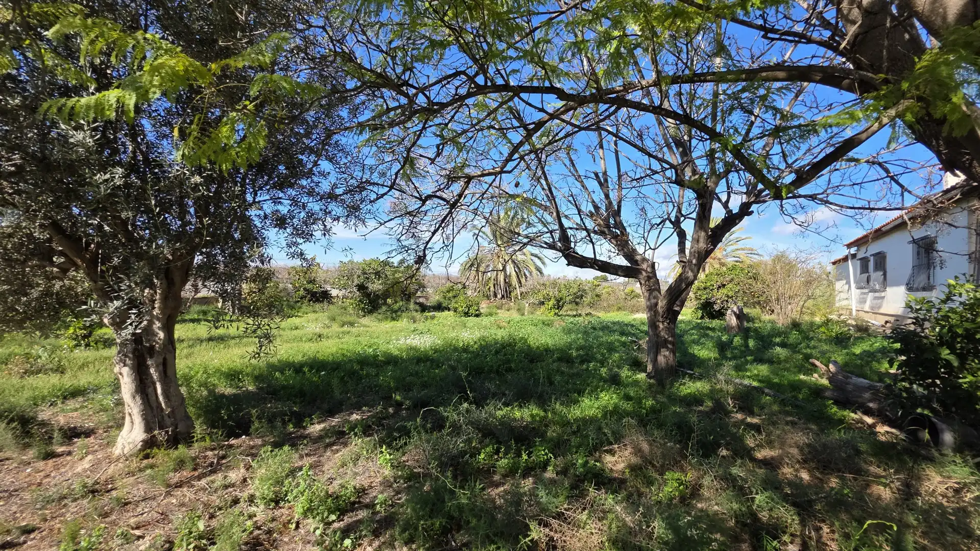 Finca rústica en venda a Las Bayas