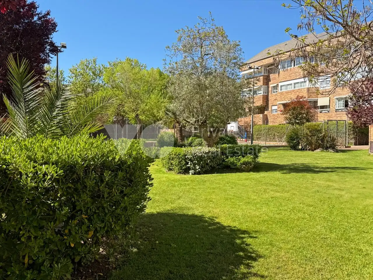 Planta baja de alquiler en Golf - El Carralero