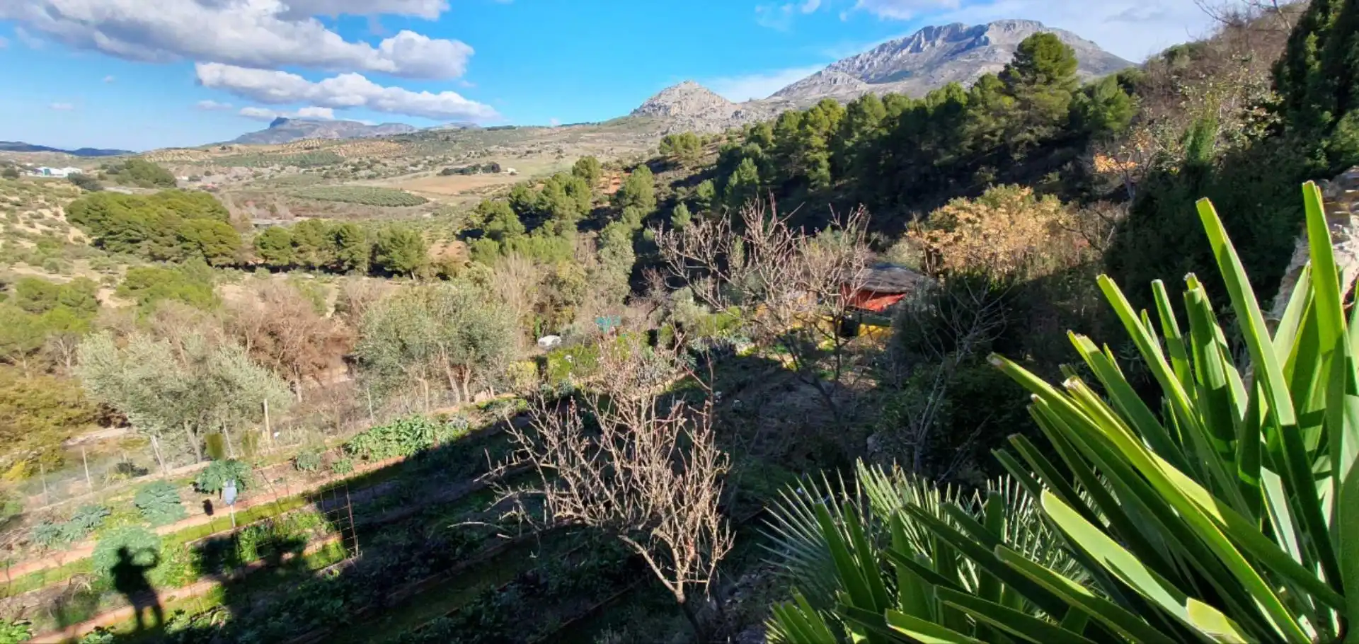 Jardí de Finca rústica en venda en El Burgo amb Calefacció, Jardí privat i Traster