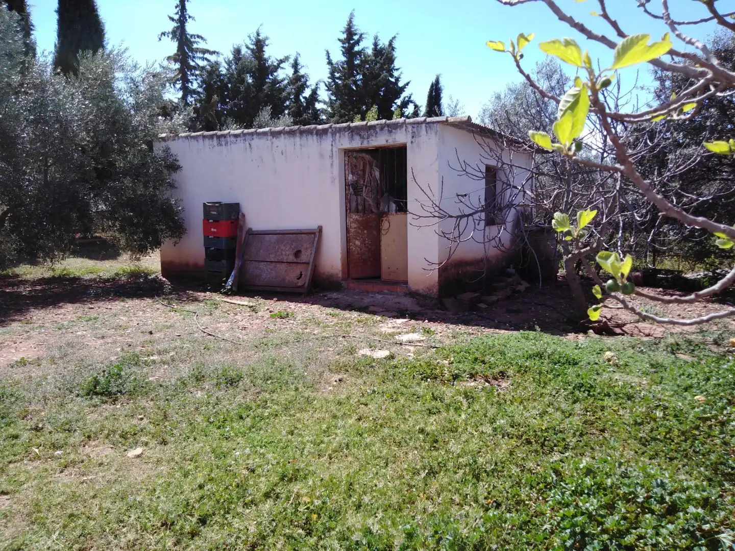 Casa rústica amb piscina en venda a Partidas Norte, imagen 21