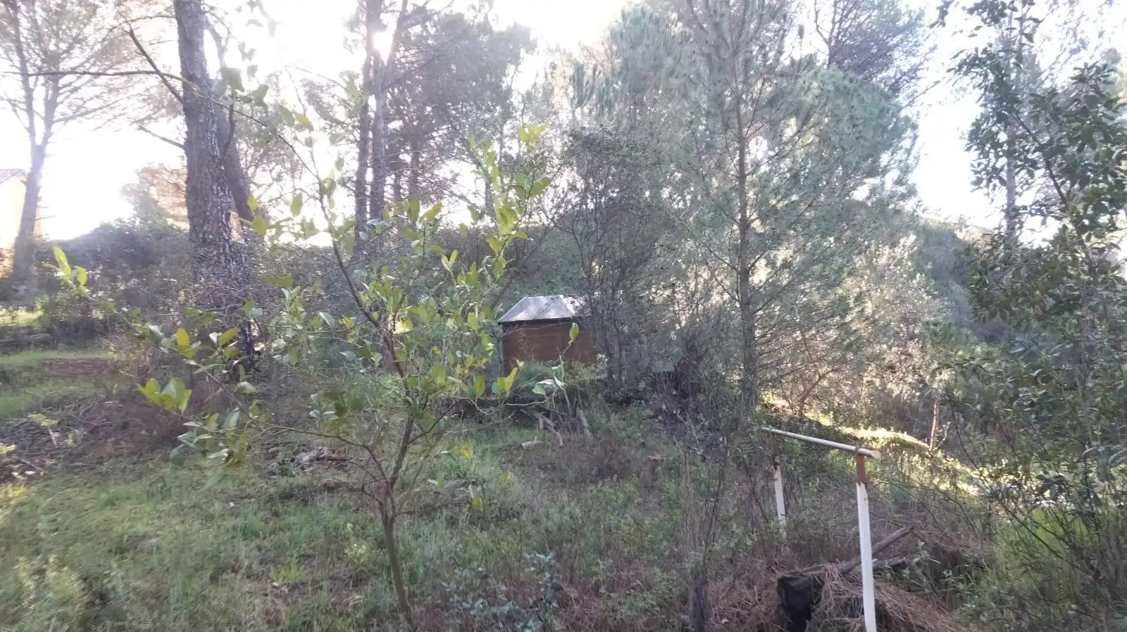 Terreny residencial en venda a Periurbano Oeste - Sierra, imagen 4