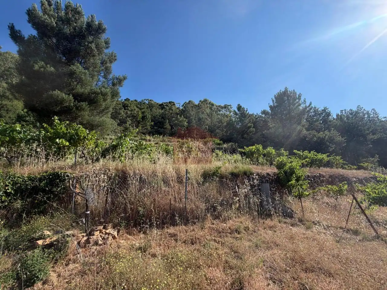 Grundstücke zum Verkauf in Garcibuey, Salamanca