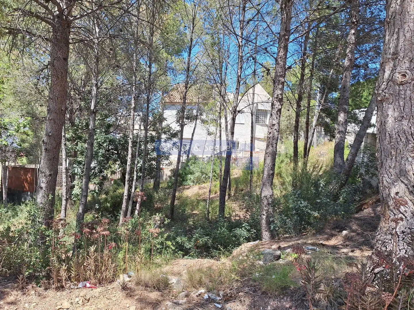 Lands and plots for sale in Gilet, imagen 10