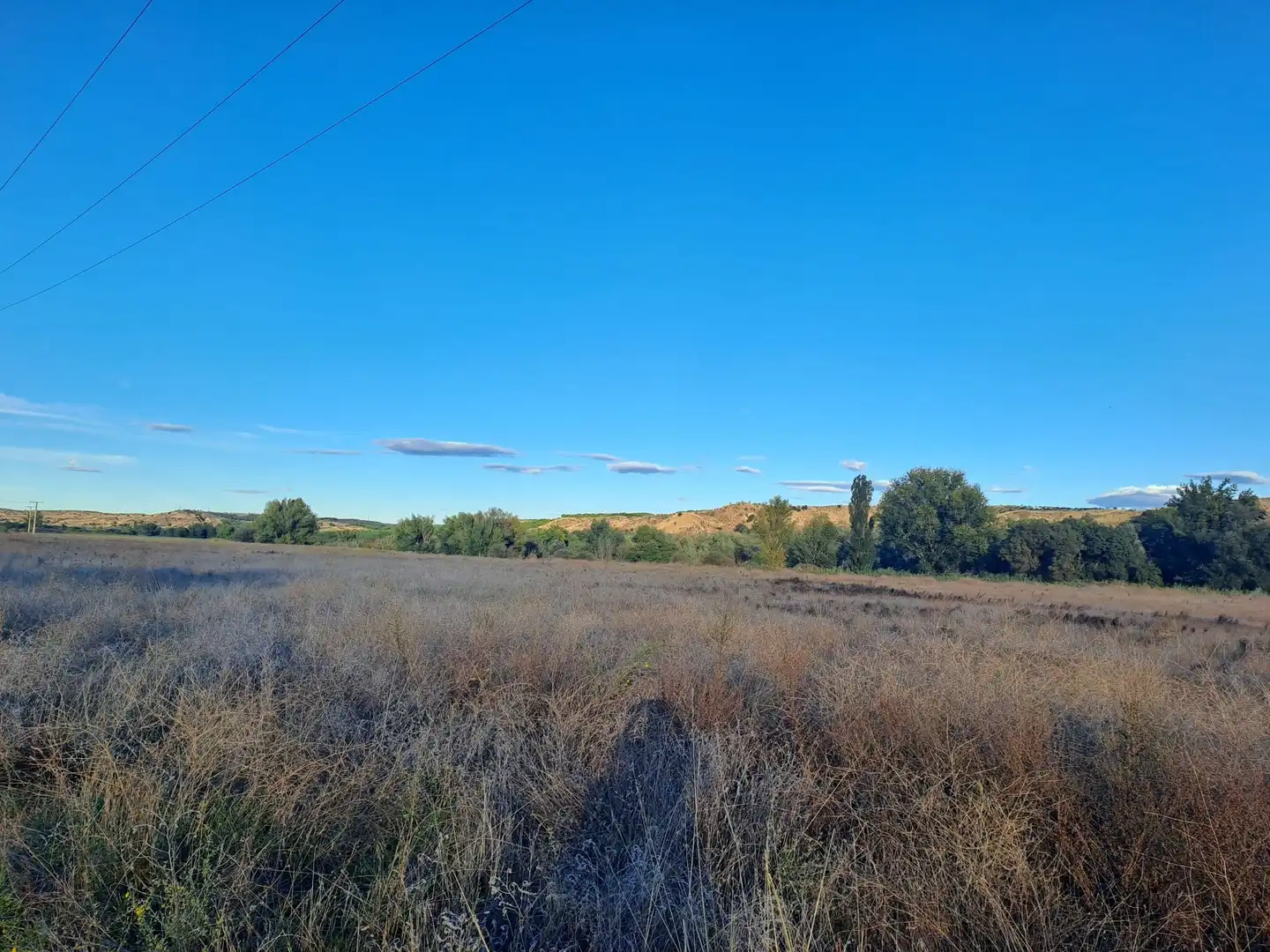 Terrenys i solars en venda a El Viso de San Juan, imagen 10