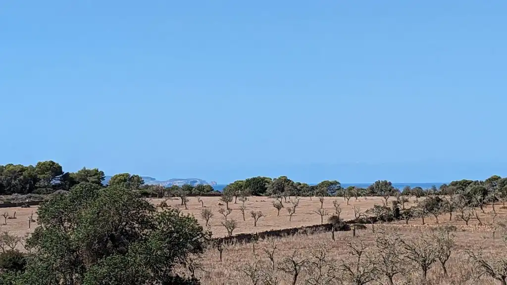 Finca rústica en venda en Santanyí amb Aire condicionat, Calefacció i Jardí privat