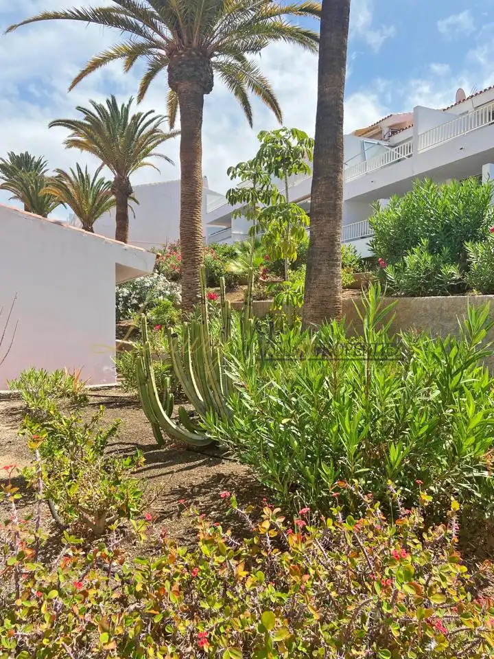 Jardí de Apartament en venda en Adeje amb Terrassa i Piscina comunitària