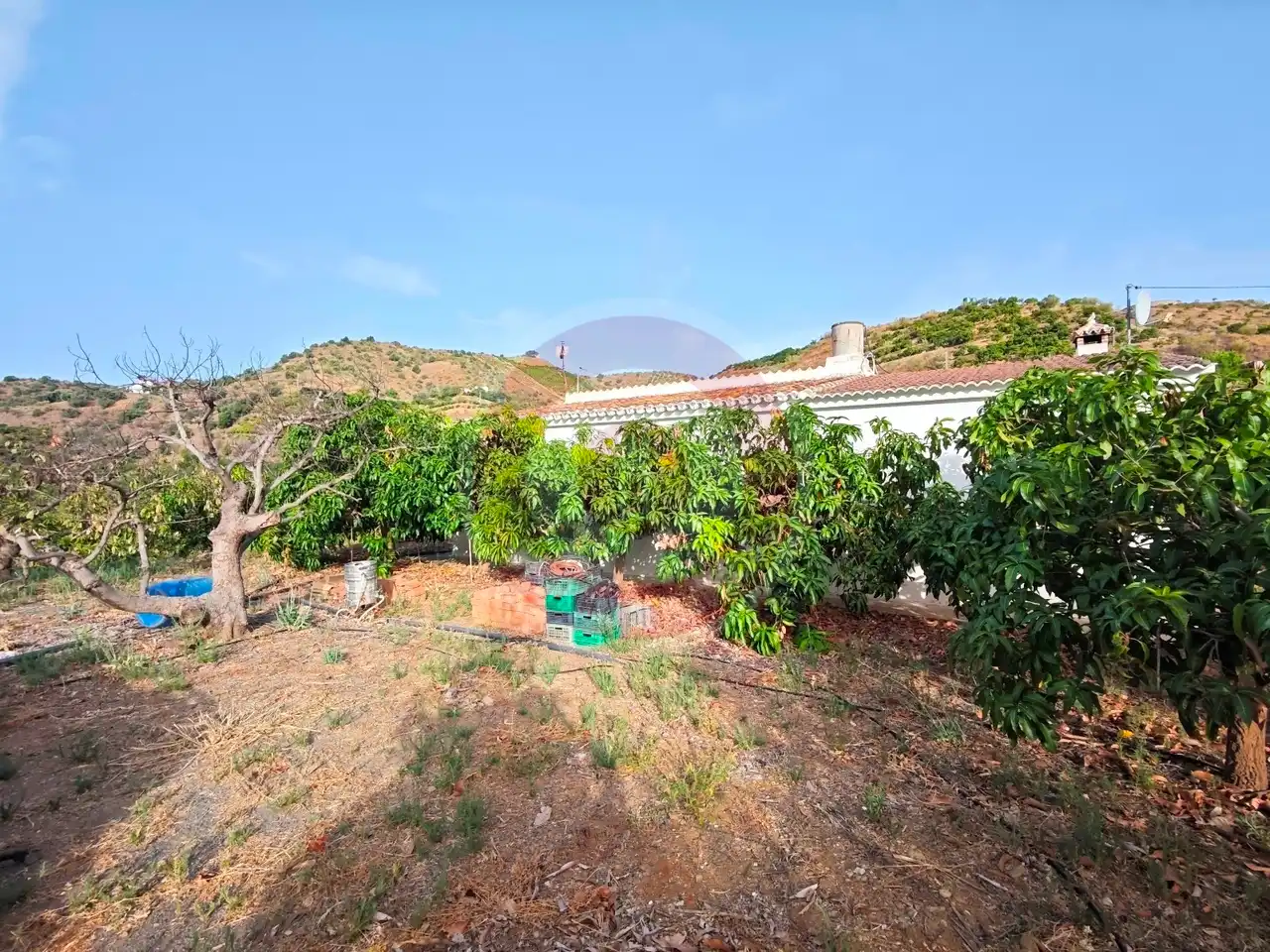 Finca rústica en venda en Comares amb Terrassa