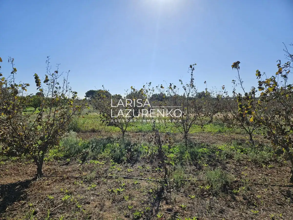 Finca rústica en venda en Vinyols i els Arcs