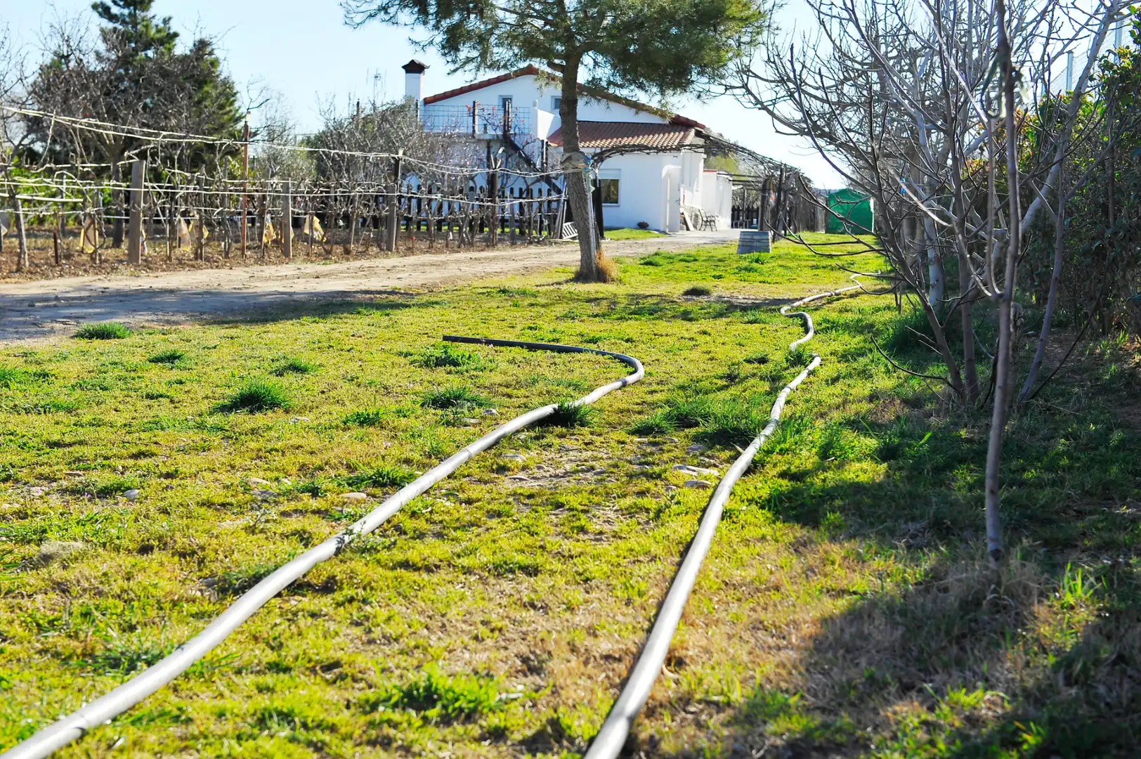 Xalet amb piscina en venda a Fuente El Saz de Jarama, imagen 5