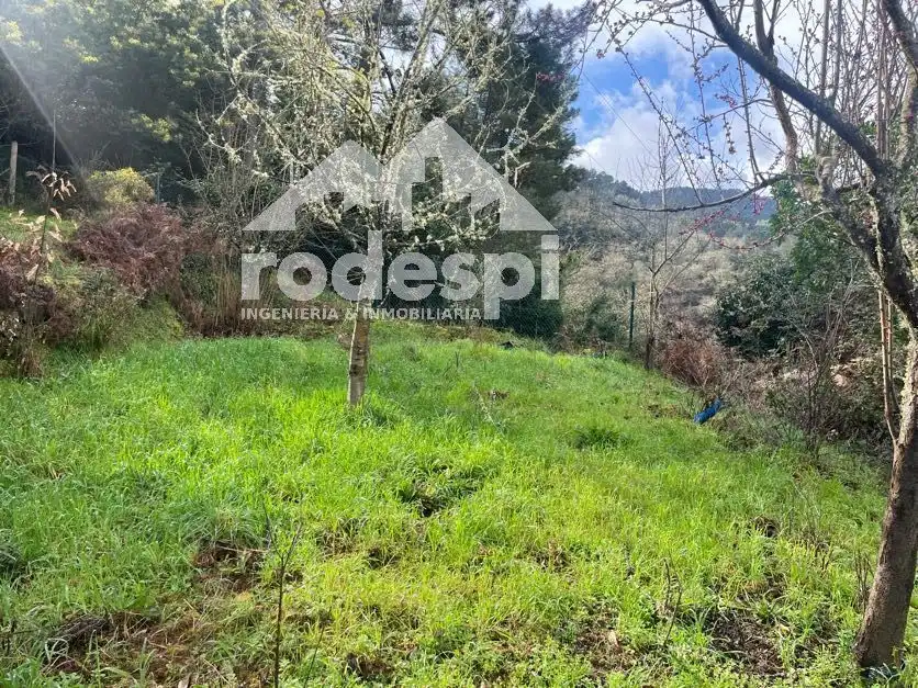 Casa o chalet en venta en Castrelo de Miño