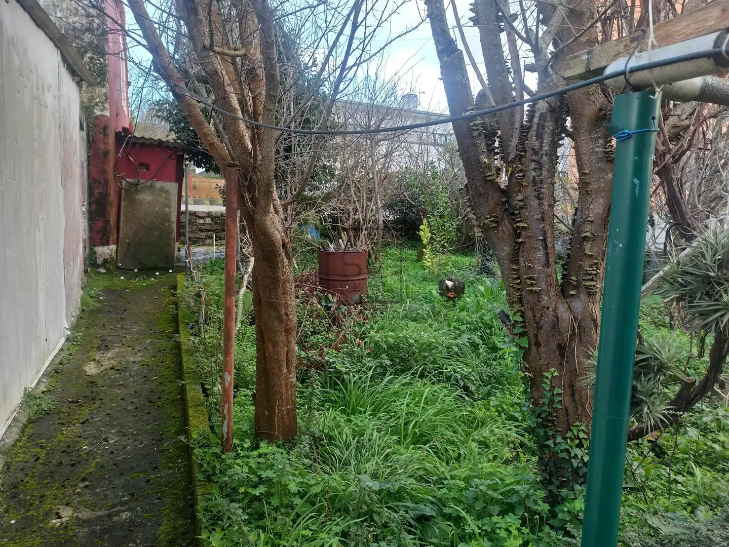 Casa o chalet en venta en Ferrol con Jardín privado