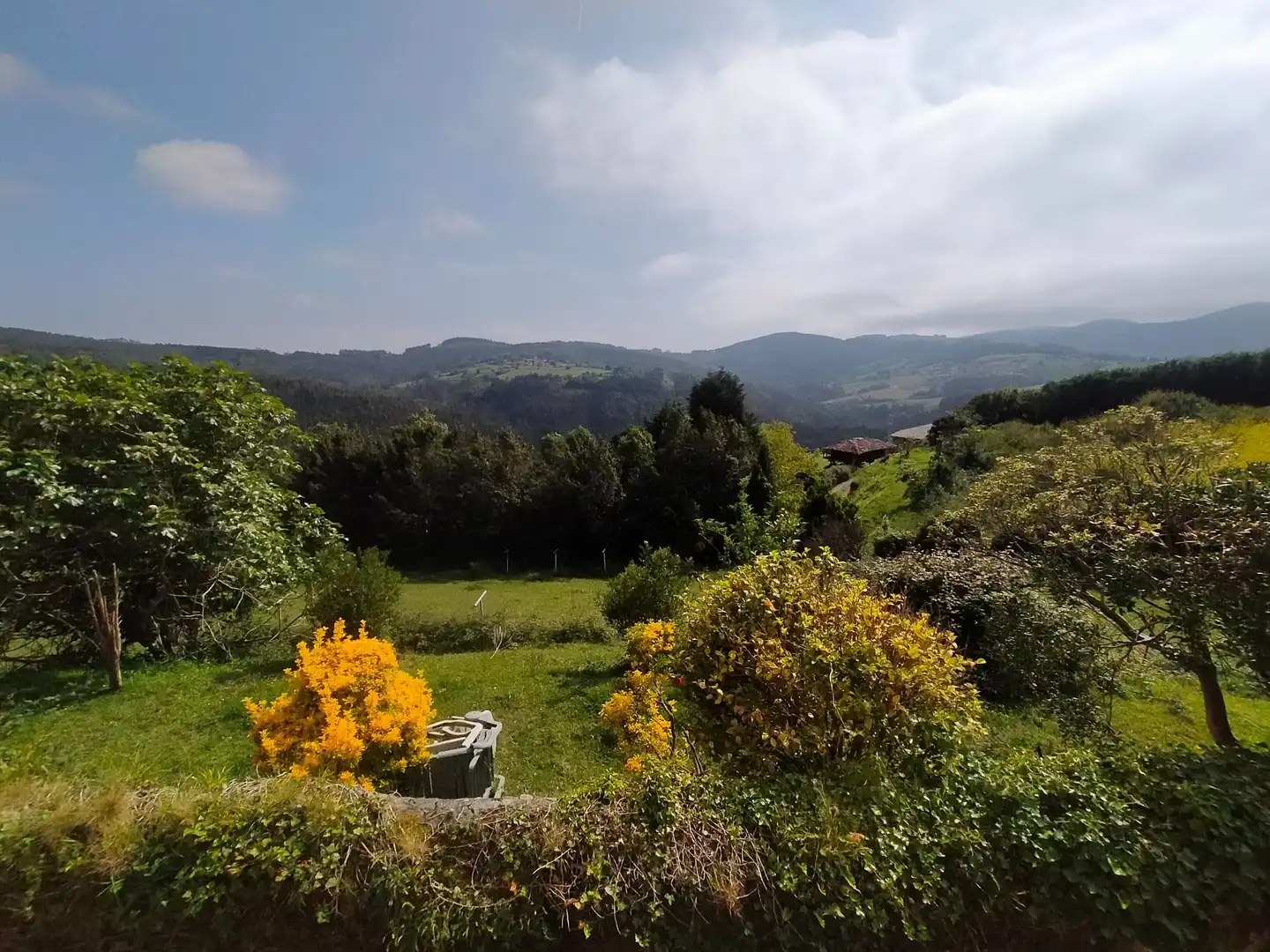 Jardí de Finca rústica en venda en Cudillero amb Jardí privat, Terrassa i Traster