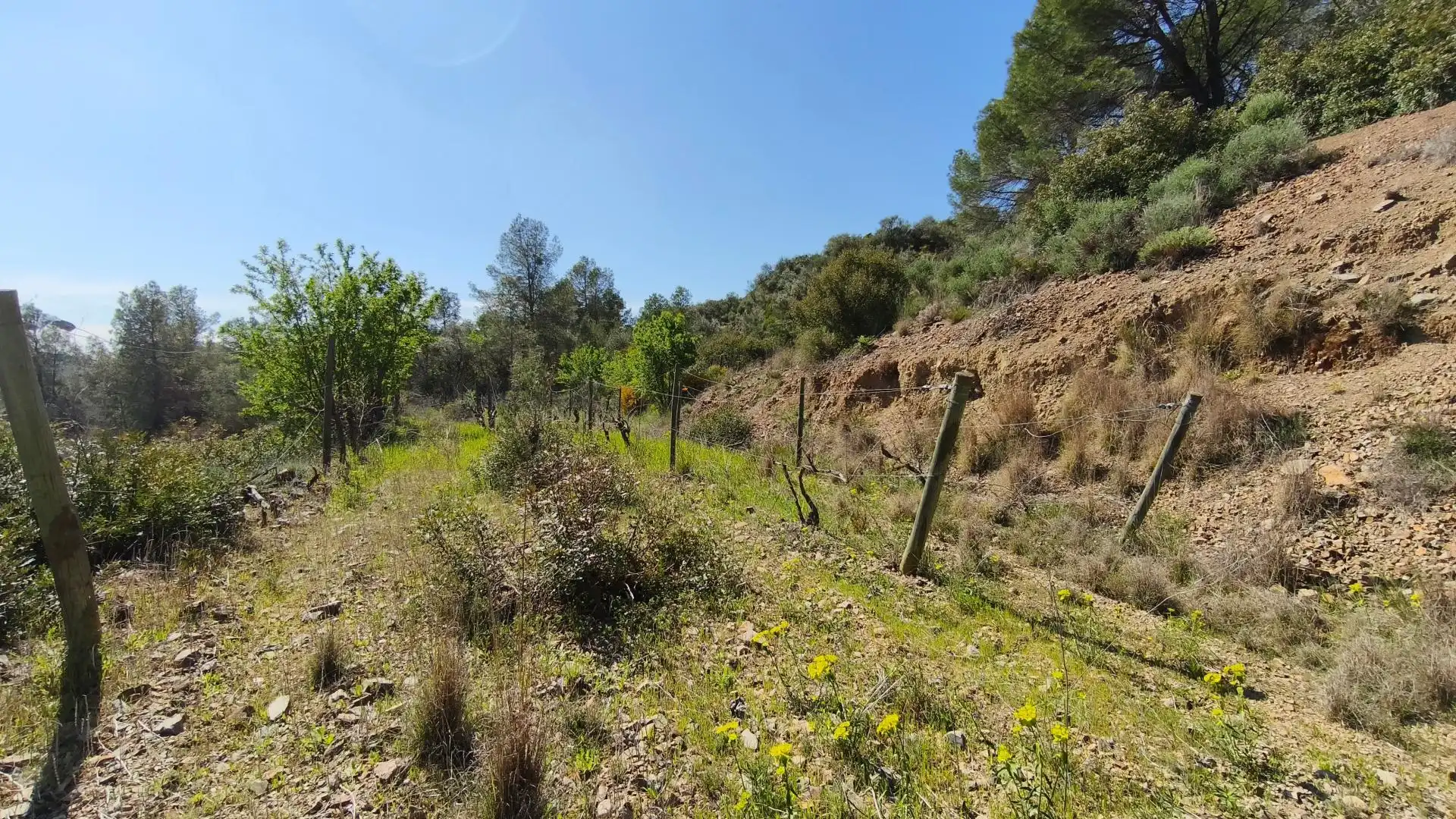 Grundstücke zum Verkauf in El Molar (Tarragona)