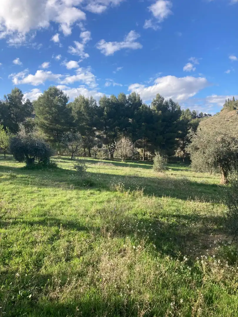 Land for sale in Rivas-Vaciamadrid