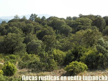 Rustikales Grundstück zum Verkauf in Caravaca de la Cruz