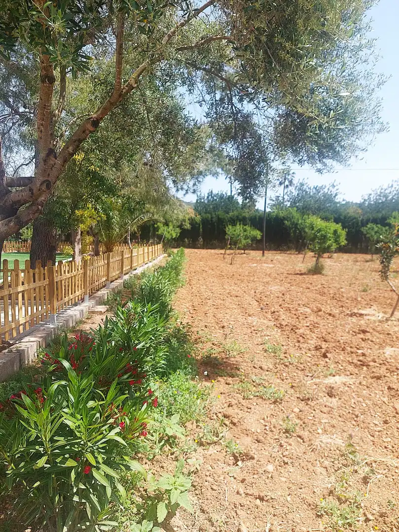 Finca rústica de alquiler en Alaró con Aire acondicionado, Jardín privado y Terraza