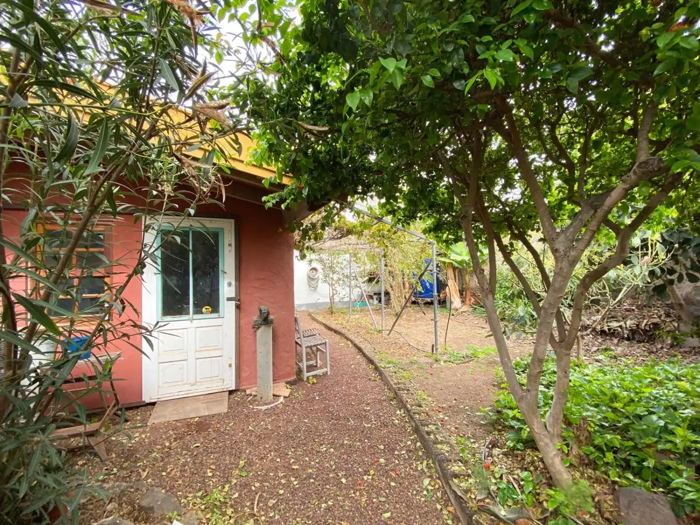 Jardí de Casa o xalet en venda en Buenavista del Norte