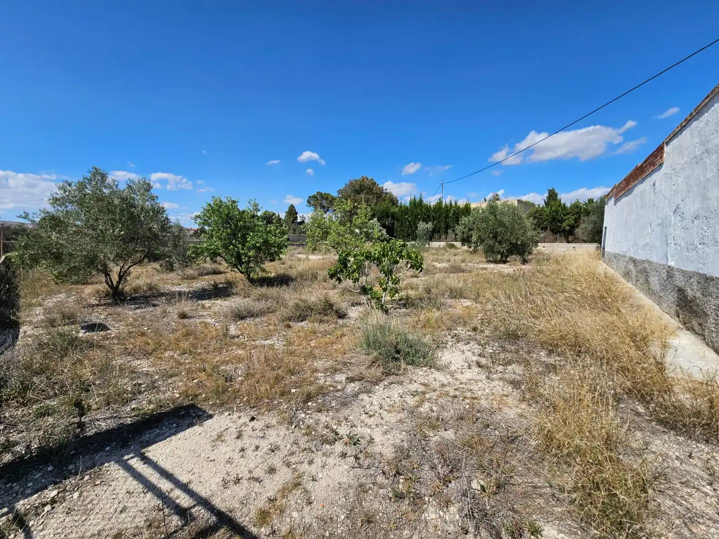 Country house for sale in Petrer, imagen 5