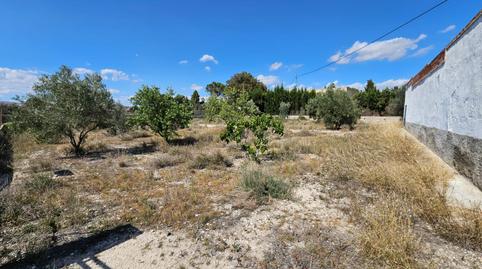 Photo 5 of Country house for sale in Petrer, Alicante