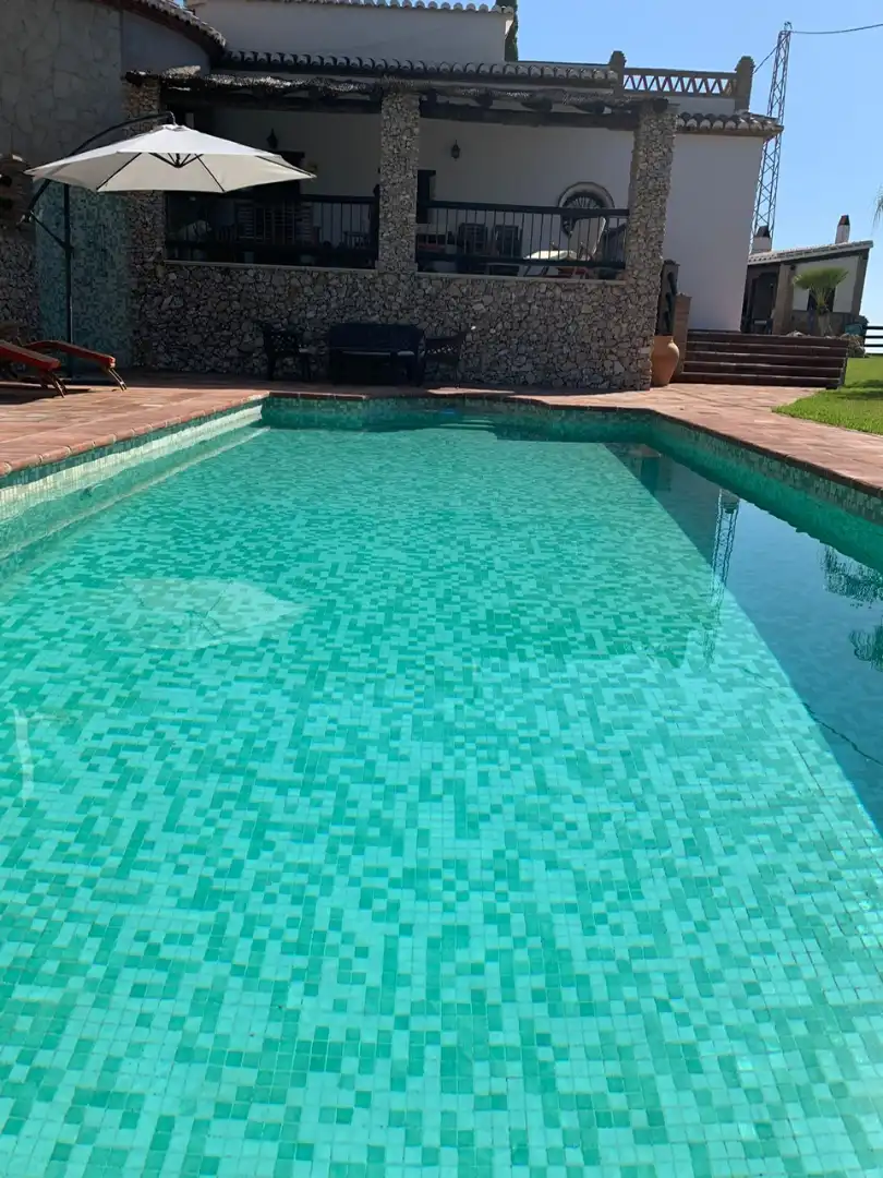 Piscina de Casa o chalet en venta en Torrox con Jardín privado, Terraza y Piscina
