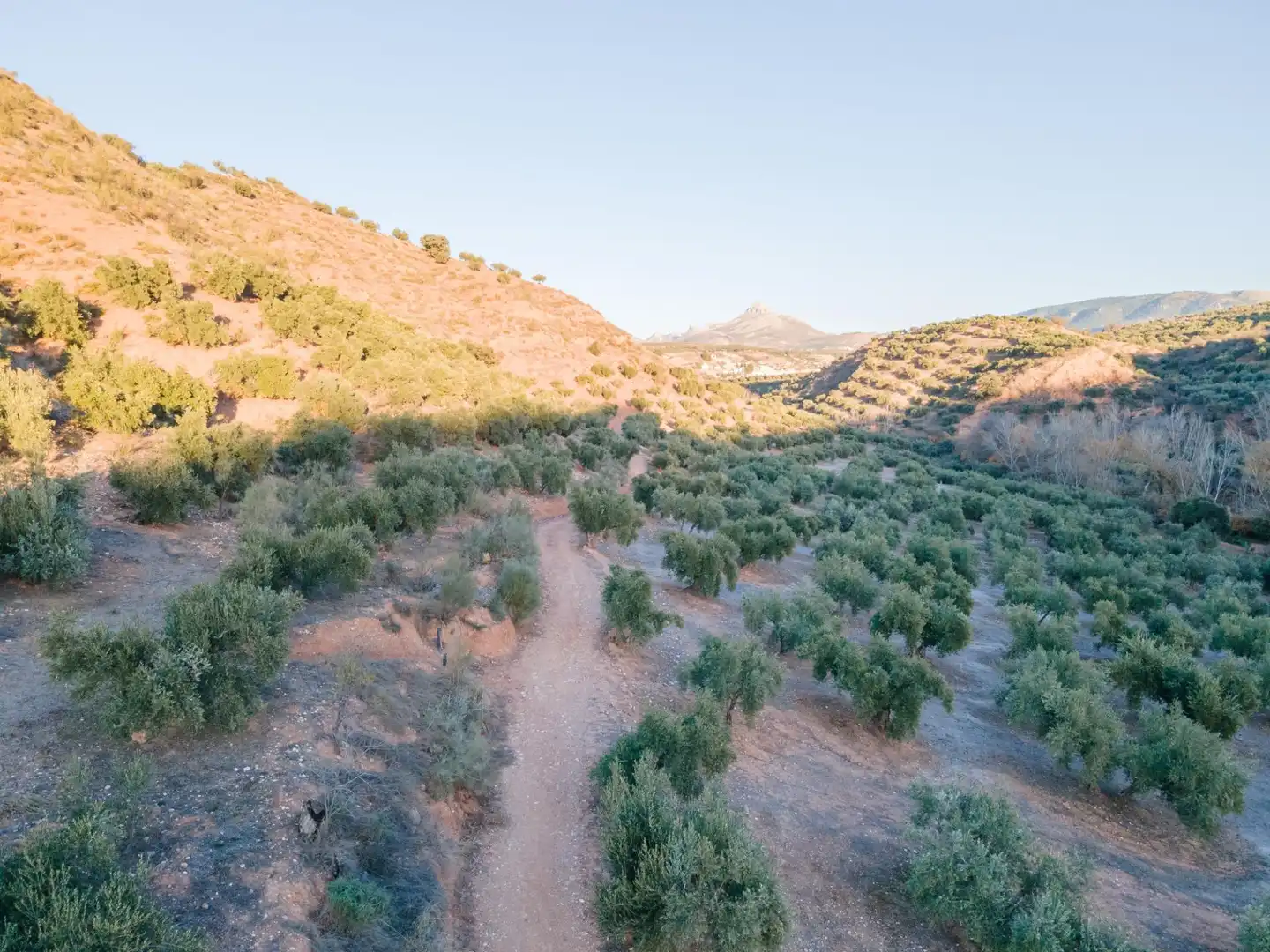Terreno rustico in vendita a Calicasas, imagen 18