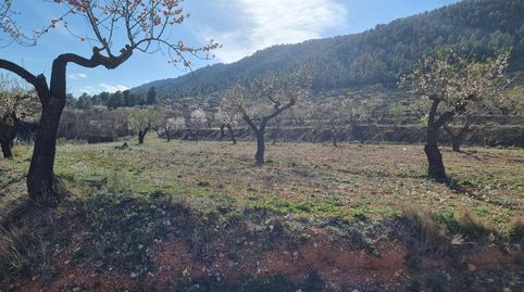 Venta terreno en Bullas proximo a Salto de Usero, immagine 3