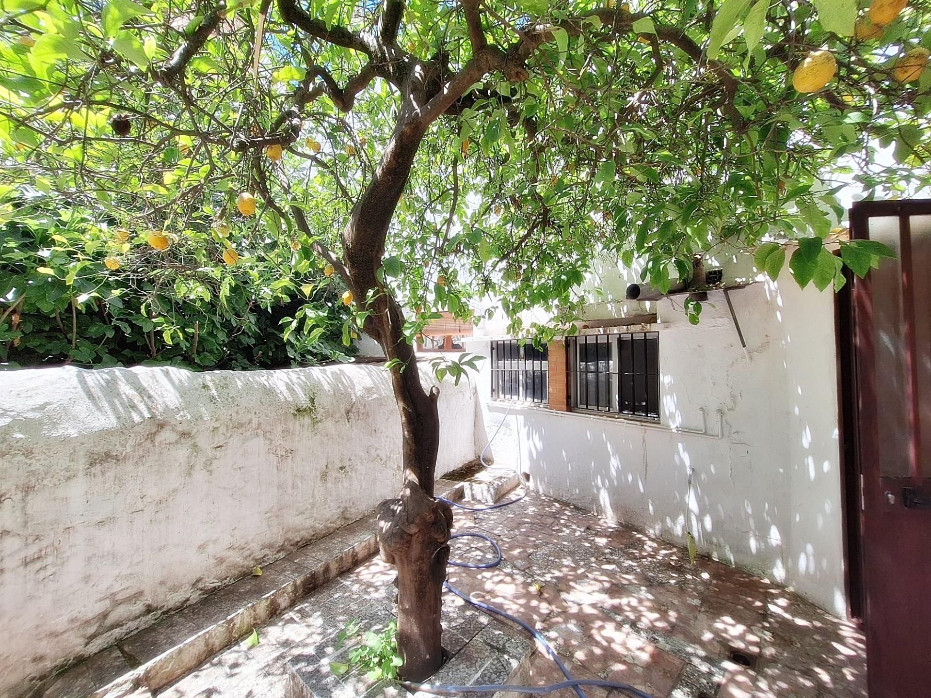 Garden of House or chalet for sale in Yunquera  with Private garden, Terrace and Balcony