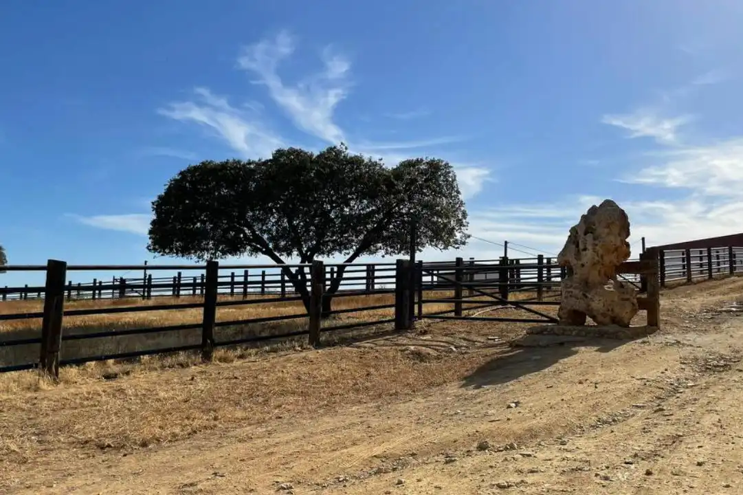 Terreno en venta en La Calzada - La Florida