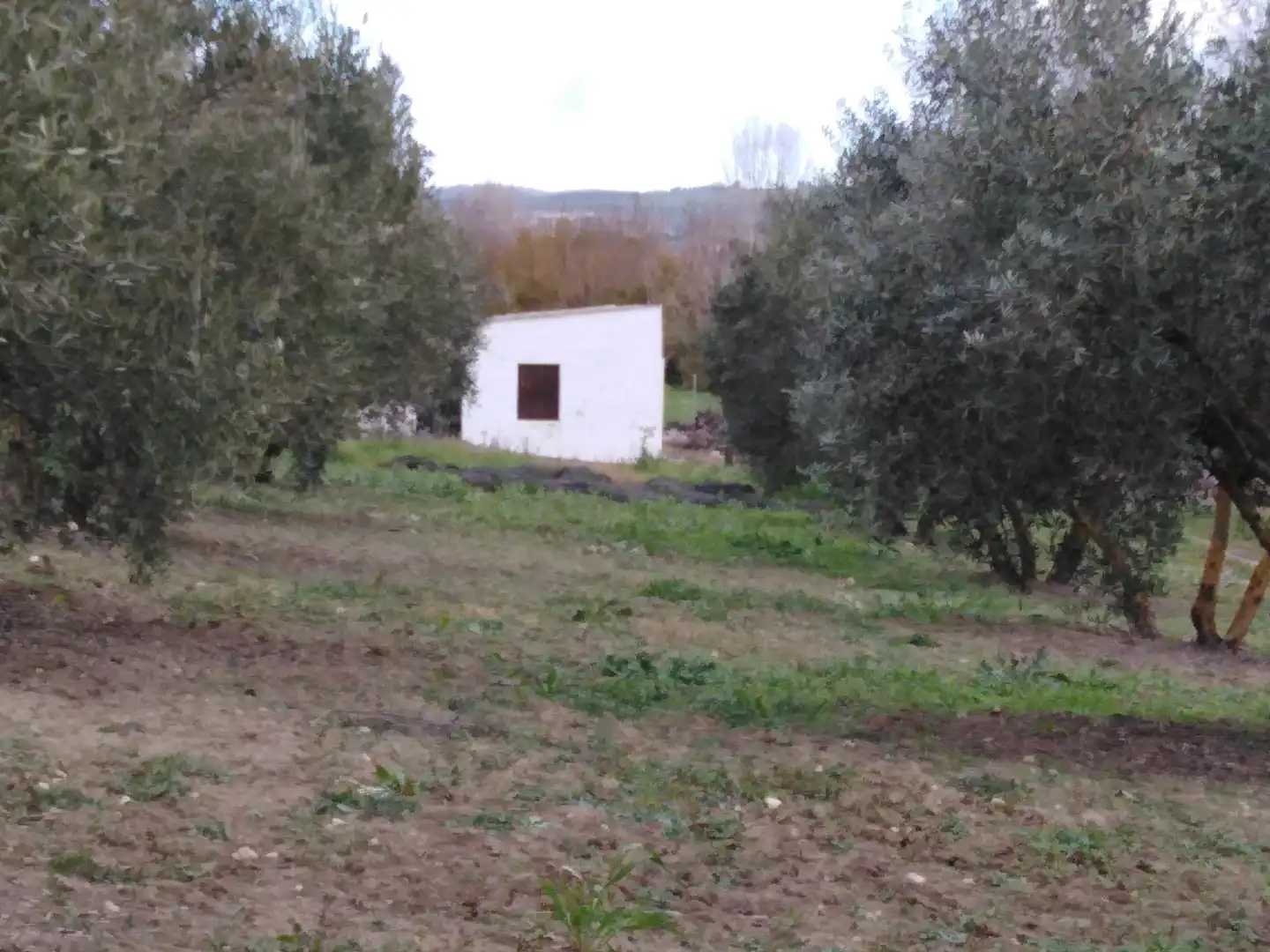 Casa rústica amb piscina en venda a Partidas Norte, imagen 44