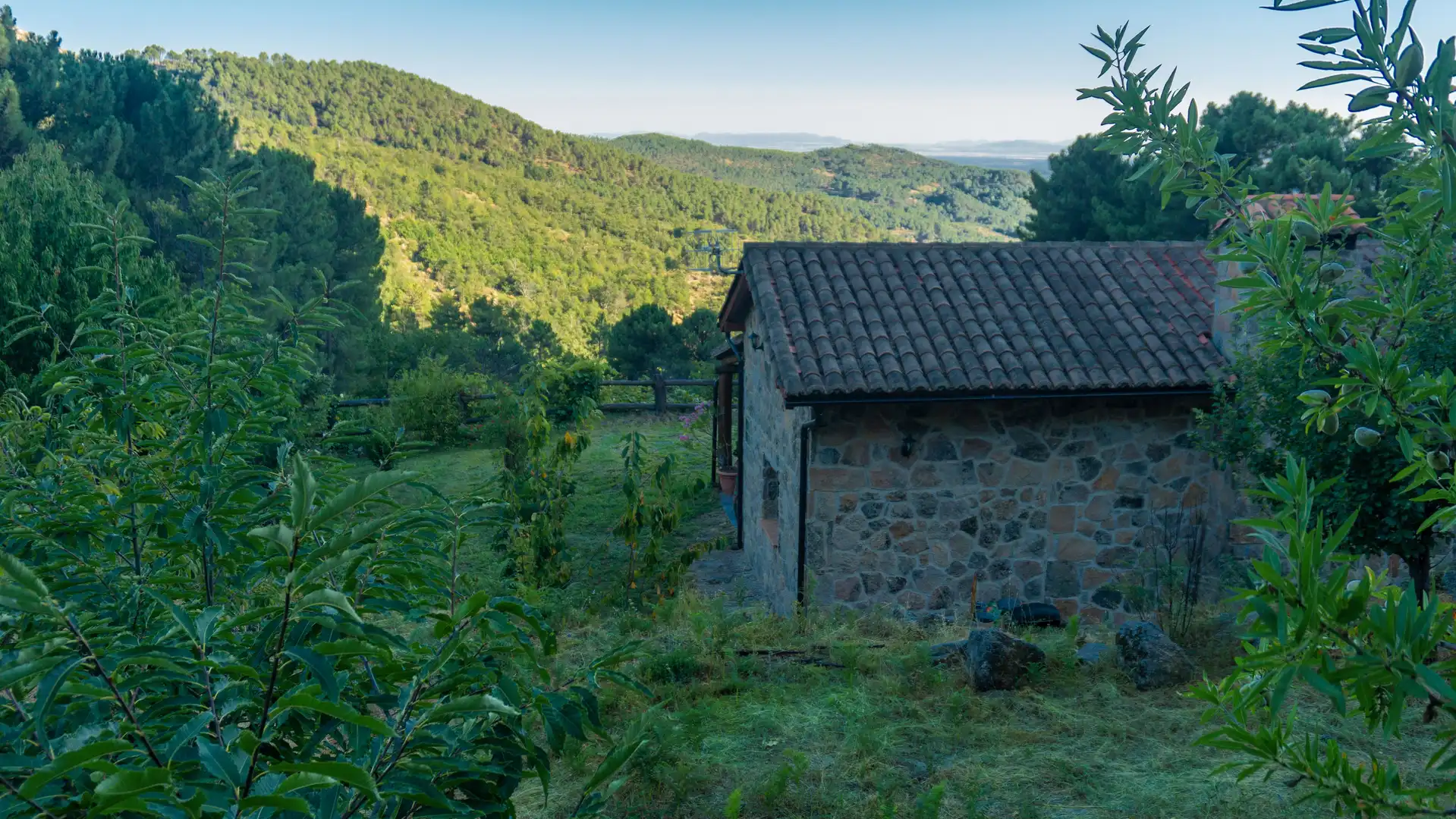 Vista exterior de Casa o xalet en venda en El Hornillo 
