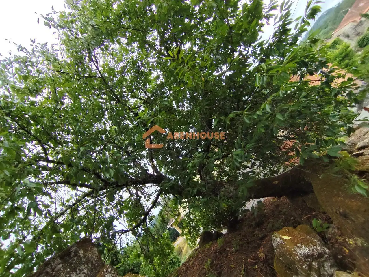 Casa o xalet en venda en Carballeda de Avia amb Calefacció, Jardí privat i Traster