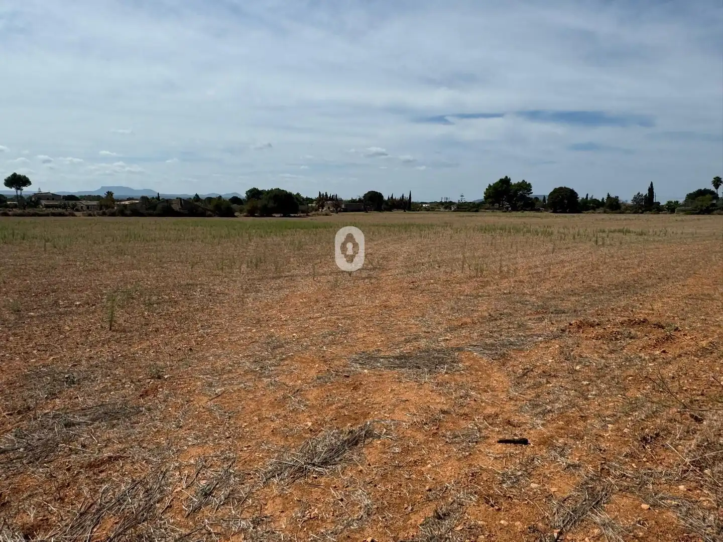 Land for sale in Inca