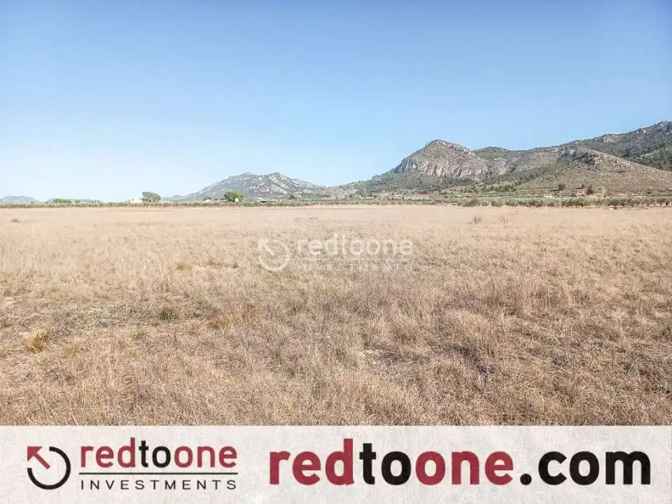 Rural land for sale in Las Tiesas, imagen 3