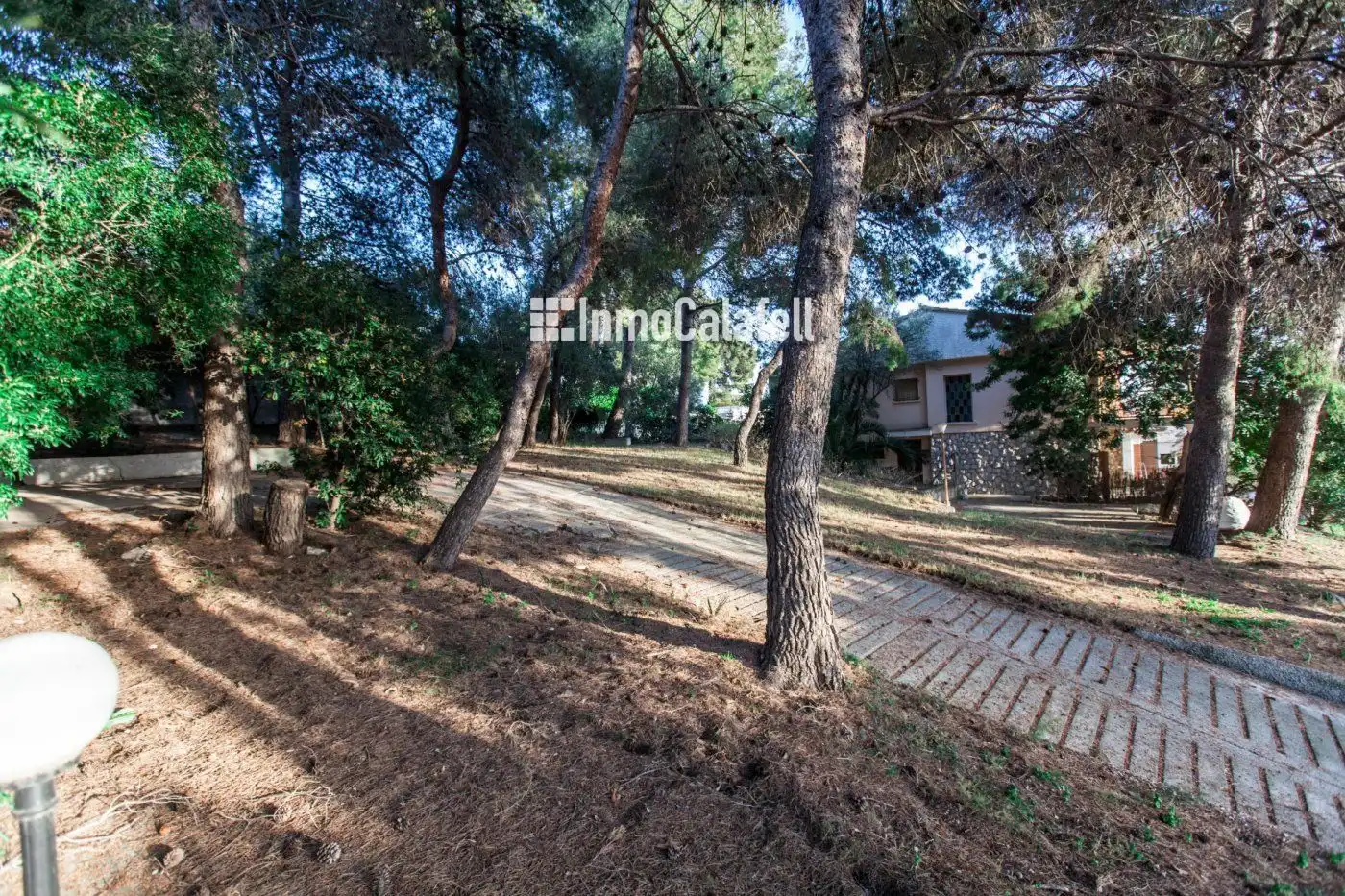 Terrain rustique à vendre à Mèxic 86, imagen 4
